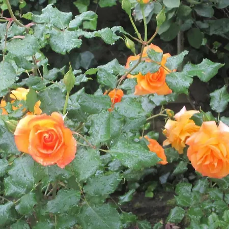 In Bad Gremsmuehlen