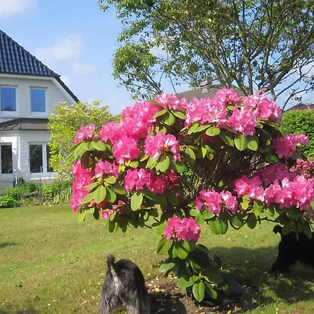 Apartment In Bad Gremsmuehlen *
